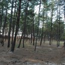 마검포해수욕장 이미지