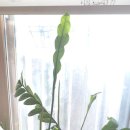 (주)월하랑 이미지