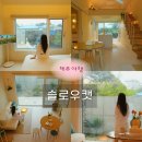 슬로우캣 | 동화 속 감성 제주 독채 숙소, 애월 가족여행 ‘슬로우캣’ 근처 동화 속 같은 제주 독채 숙소, 애월...