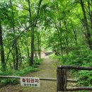 (주)서대 이미지