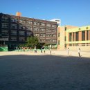 매탄초등학교 이미지