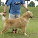 한국체형미 이미지