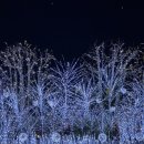 도쿄스시 | [도쿄여행] 도쿄 스카이트리 맛집 ‘토리톤 스시’|웨이팅 후기