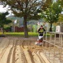 기성초교병설 이미지