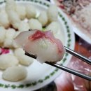 칠암거북 이미지