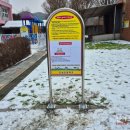 초성초등학교 이미지