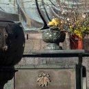 관음크리닝 | 가마쿠라 대불과 조선 궁궐 관월당