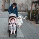 휴대용 유모차 언제까지 오토폴딩 잉글레시나 나우 한달 후기