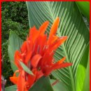 제중당약국 이미지