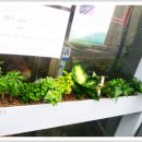 신영농원 이미지