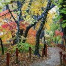 거창중앙고등학교 이미지