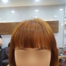 미장샘헤어