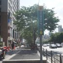 로하나코스킨 | [브라질리언왁싱] 강남구청역왁싱/강남브라질리언왁싱: 로하나코스킨 브라질리언왁싱 솔직후기
