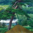 동아오토 이미지