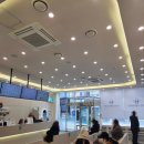 굿모닝24시동물병원 | 인천 남구 용현동 포인트24시 동물병원 후기