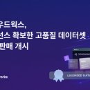 크라우드 이미지