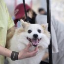 삼성동물병원 이미지