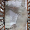 병구동물병원 이미지