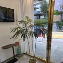 더(THE) 예쁨헤어