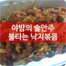 불타는낙지 이미지
