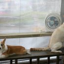 정이미용실 이미지