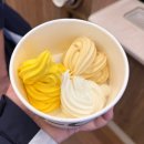 요거트아이스크림천국 | 시드니 요거트 아이스크림 맛집 YO-CHi 후기