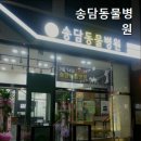송담동물병원 네이버블로그