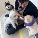 공간 페로 이미지