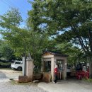 원조닭백숙 이미지