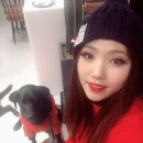 블랙몬트 대형견 항공점퍼로 인싸되기❤️