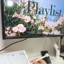 듀얼 모니터암 설치 카멜마운트 GDA2 프리랜서 이용 후기
