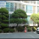 완월동109 이미지