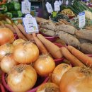 대송농수산물시장 | 울산 동구 대송시장 야채납품 신선함이 살아있는 ‘근호상회&#39;