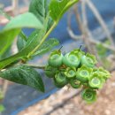 목골농장 이미지