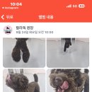 랄라독 이미지