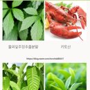 글로벌에스에스 네이버블로그