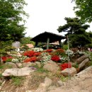 일광2리 이미지