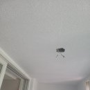 해솔바이오 이미지