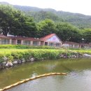 유진레져 Daum카페