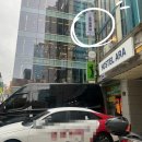 호스텔아라 | [그라벨르헤어 을지로점] 온실장님께 파마머리 헤어 클리닉 받은 후기