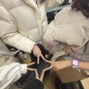 그랜드 마트 이미지