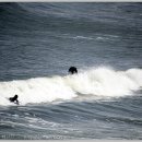 모텔러브 이미지