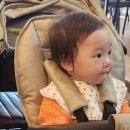 식당동네부페 이미지