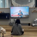 펄베이풀빌라 이미지