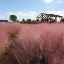 행복마을 로또복권 이미지