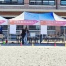 운암초등학교 이미지