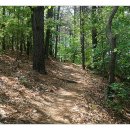 금병산 누리길 이미지