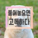 신천로 이미지