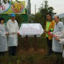 광양읍 서천체육공원 이미지