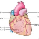 길흉부외과의원